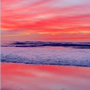 Meet your Posher, Saylor